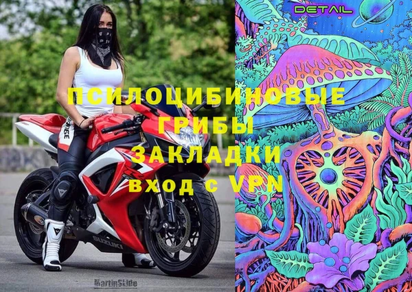 твердый Нягань