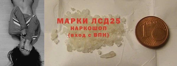 прущие грибы Новокубанск