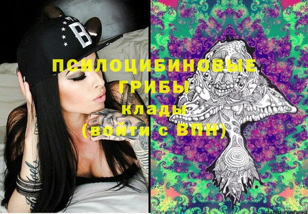 бошки Няндома