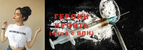 хмурый Бикин