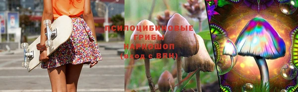 твердый Нягань