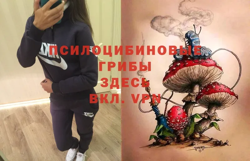 Псилоцибиновые грибы MAGIC MUSHROOMS  купить закладку  Кольчугино 