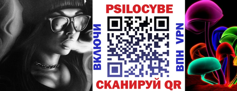 где купить наркотик  Кольчугино  Псилоцибиновые грибы MAGIC MUSHROOMS 